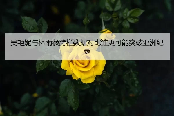 吴艳妮与林雨薇跨栏数据对比谁更可能突破亚洲纪录