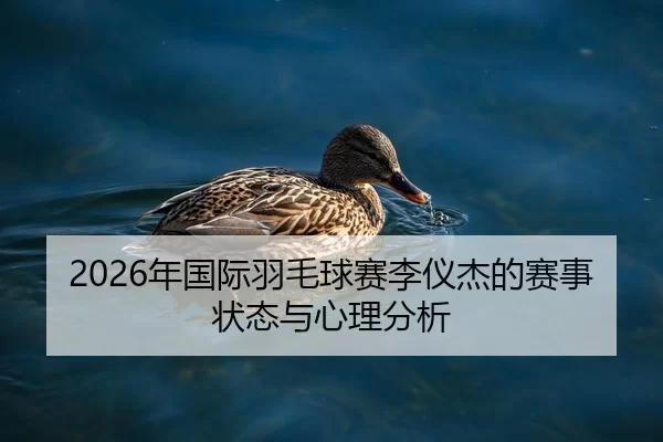 2026年国际羽毛球赛李仪杰的赛事状态与心理分析
