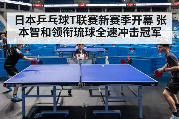 table tennis match arena